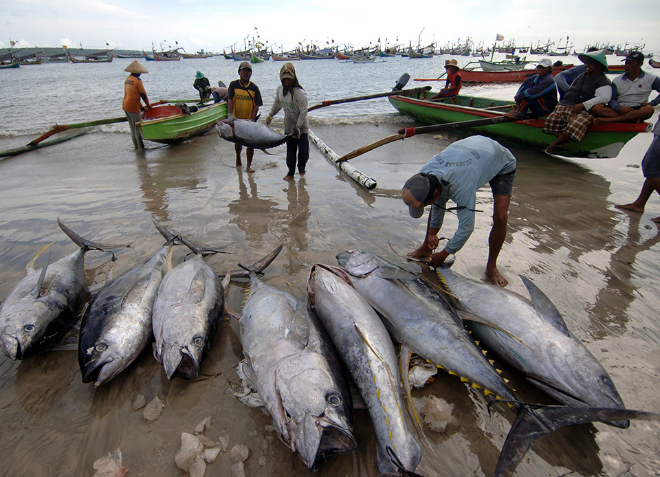 Indonesia fishermen to suffer more under Asean Economic Community