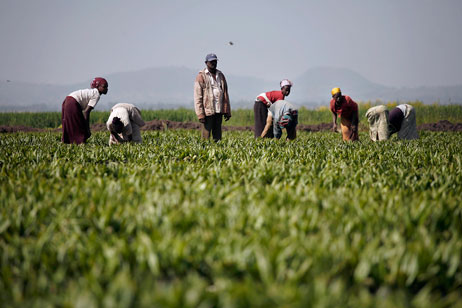 ethiopia farm project challenges decision cancel bilaterals