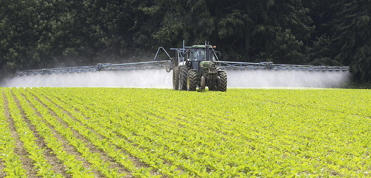 agriculture productiviste et intensive - exemple agriculture intensive